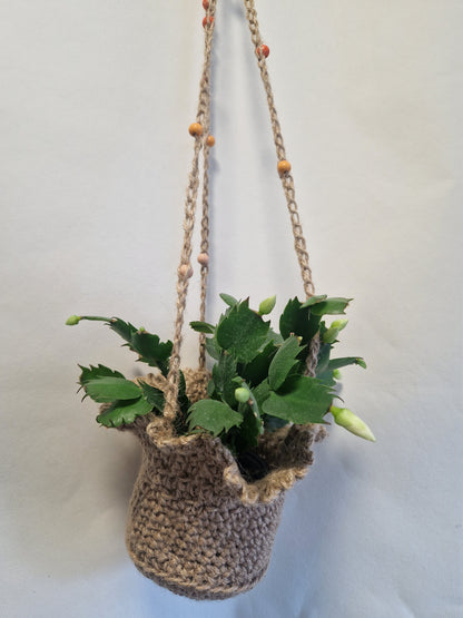 Hanging Basket