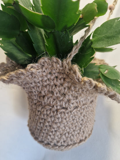 Hanging Basket