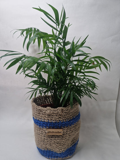 Plant Holder