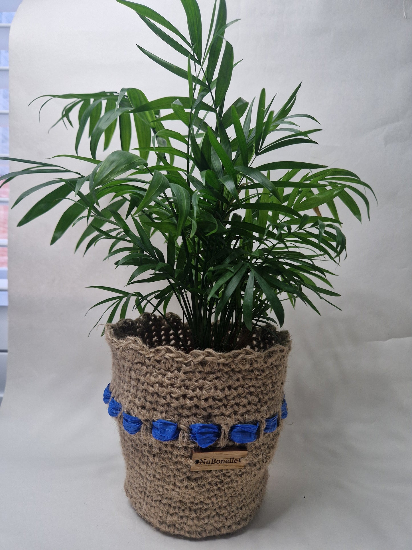 Plant Holder